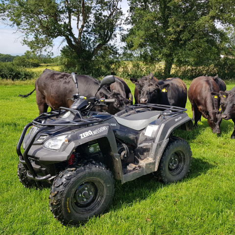 A picture of a quad bike